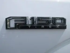 Custom 2018 F-150 2