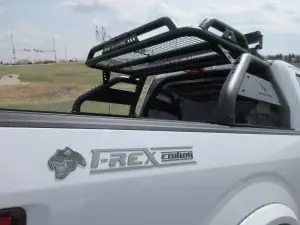 Custom 2018 F-150 2