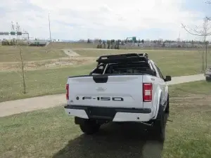 Custom 2018 F-150 2