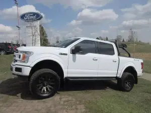 Custom 2018 F-150 2