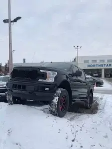 Custom 2018 F-150 4