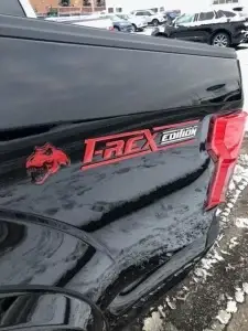 Custom 2018 F-150 4